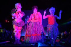 Photos by Michael Troutman (345/365)